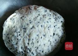 炸马耳朵（家常）续的做法图解1