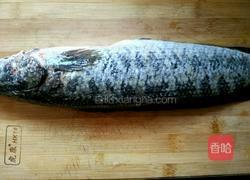 糖醋菊花鱼的做法图解1