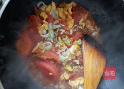 虾仁西红柿鸡蛋面的做法图解7