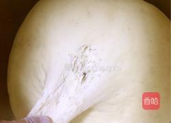 肉馅胡萝卜花卷的做法图解1