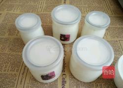 醇香酸奶的做法图解7