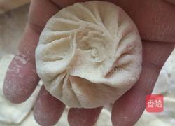 羊肉胡萝卜包子的做法图解16