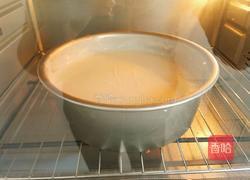 酸奶戚风蛋糕~八寸的做法图解15