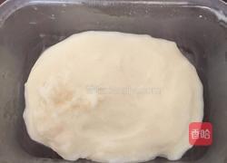 炸鲜奶的做法图解1
