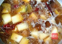土豆冬瓜炖鸭的做法图解9