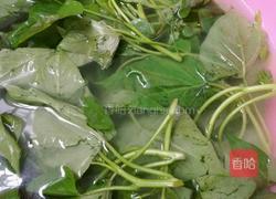 炒番薯叶的做法图解1