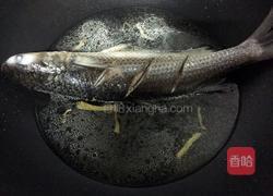 豆酱焖黑鱼的做法图解4