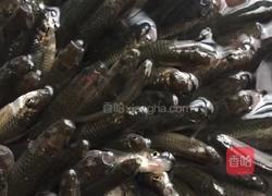 ‍舌尖小鱼 的做法图解1