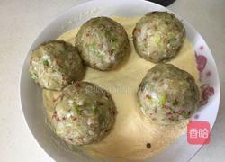 菜团团的做法图解1