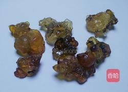 木瓜桃胶的做法图解1