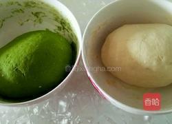 白菜(百财)饺子的做法图解5