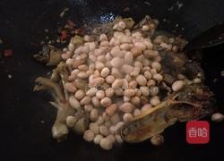 花生闷鸭的做法图解8