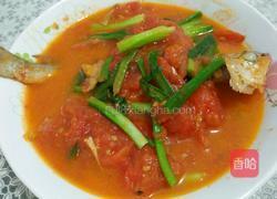 番茄焖鱼的做法图解8