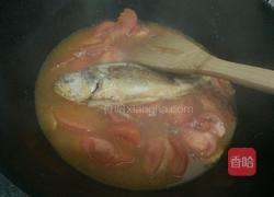 番茄焖鱼的做法图解6