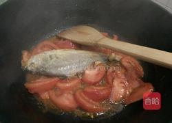 番茄焖鱼的做法图解5