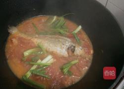 番茄焖鱼的做法图解7