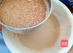 自制虾粉的做法图解8