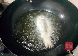 鲫鱼豆腐海鲜菇汤的做法图解12