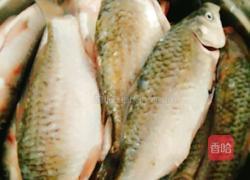 炖鲤鱼的做法图解1