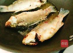 炖鲤鱼的做法图解3
