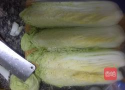 自制辣白菜的做法图解1