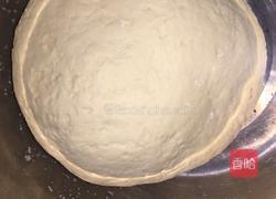 羊肉大葱饺子的做法图解2