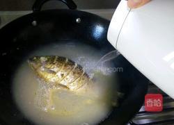 鲫鱼汤的做法图解5