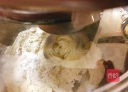 白萝卜猪肉馅饼的做法图解4