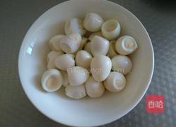 香其酱炖鸡胸肉鹌鹑蛋的做法图解3