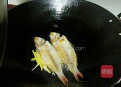香煎红鱼的做法图解2
