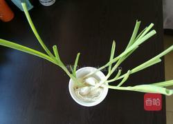 蓝调油焖大虾的做法图解4