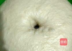 香葱花卷的做法图解5