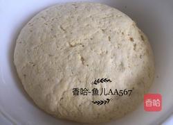 玉米面馒头的做法图解6