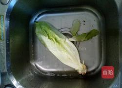 孔雀屏的做法图解5