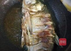 酸菜粉条炖鱼的做法图解3
