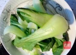 映日荷花油菜的做法图解5