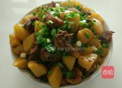 土豆烧土鸡的做法图解7
