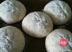 红枣全麦欧包的做法图解9
