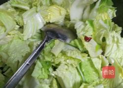 白菜粉条豆腐泡的做法图解2