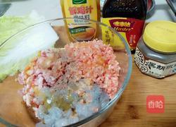 鲜美白菜虾肉卷的做法图解3