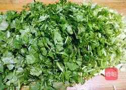 Illustration of homemade spring rolls 3