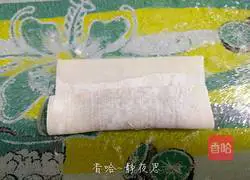 Illustration of homemade spring rolls 10