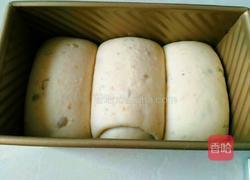 红豆无油无糖全麦土司的做法图解9