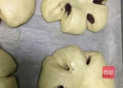 豆沙小面包的做法图解13