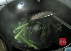 凉拌粉丝菠菜的做法图解4