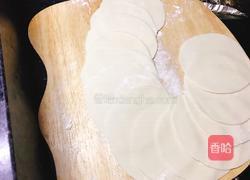 青菜猪肉煎饺的做法图解6