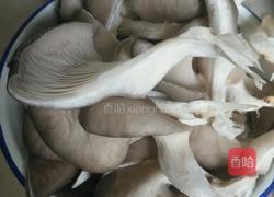 炸蘑菇的做法图解2