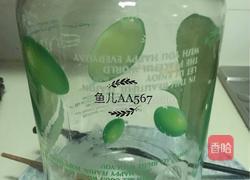 火龙果酸奶的做法图解2