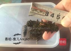 发海参的做法图解1