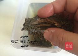 发海参的做法图解4